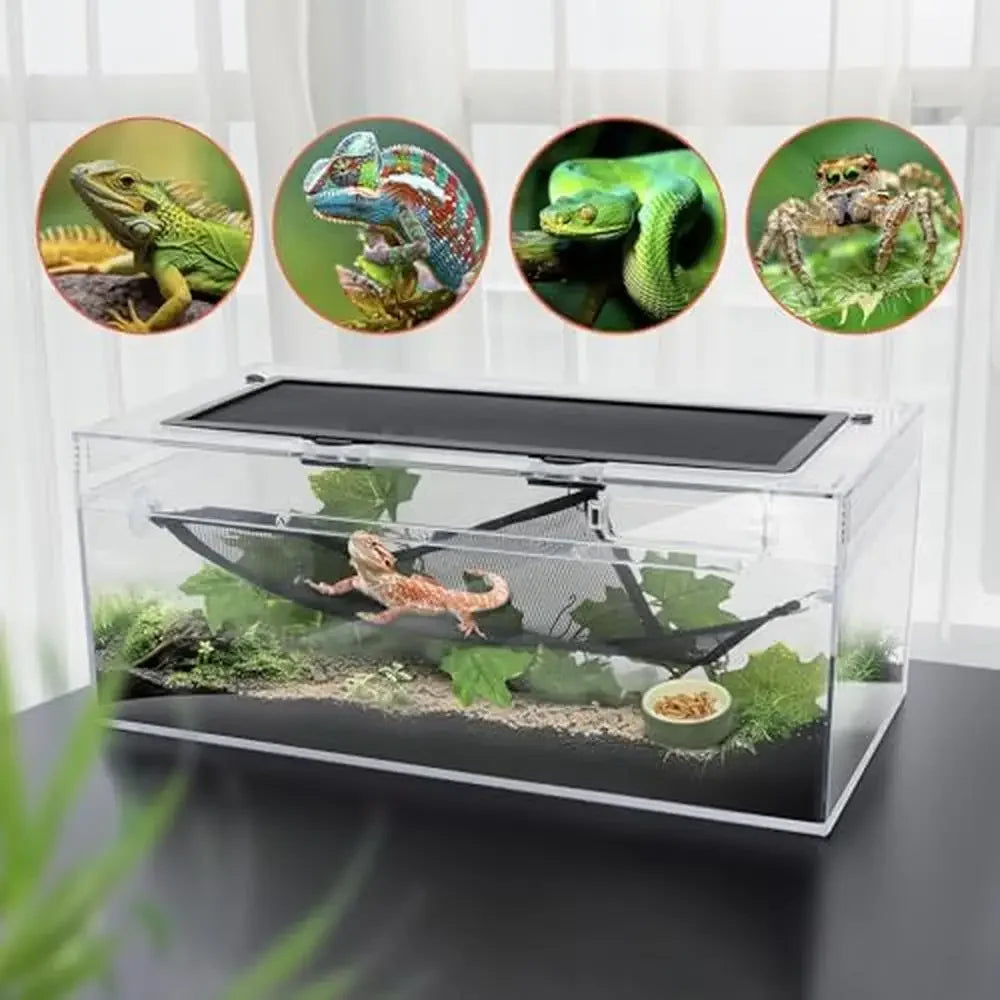 Reptile Terrarium Amphibian Tank Habitat