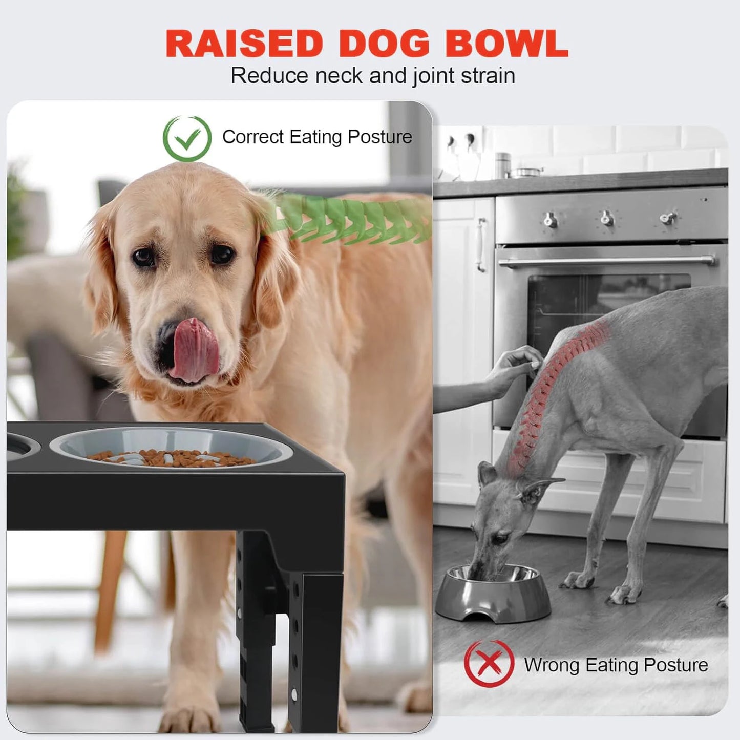 Slow Feeder Dog Bowl Holder with 5 Height Adjustments