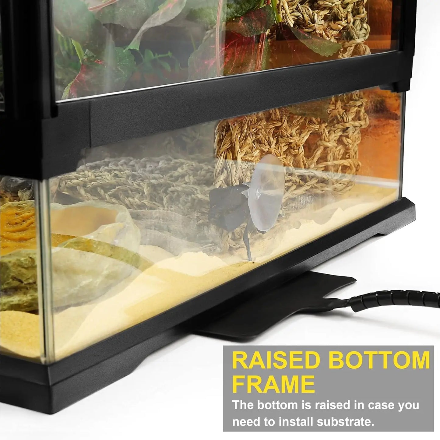 43 Gallon Professional Glass Terrarium 24"x18"x24" Durable Reptile Habitat