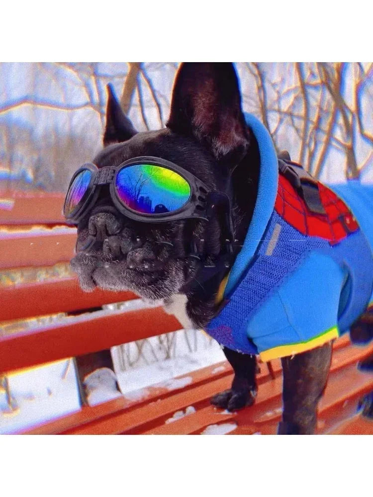 Pet Dog Fold Glasses Prevent UV Pet Glasses Fashion