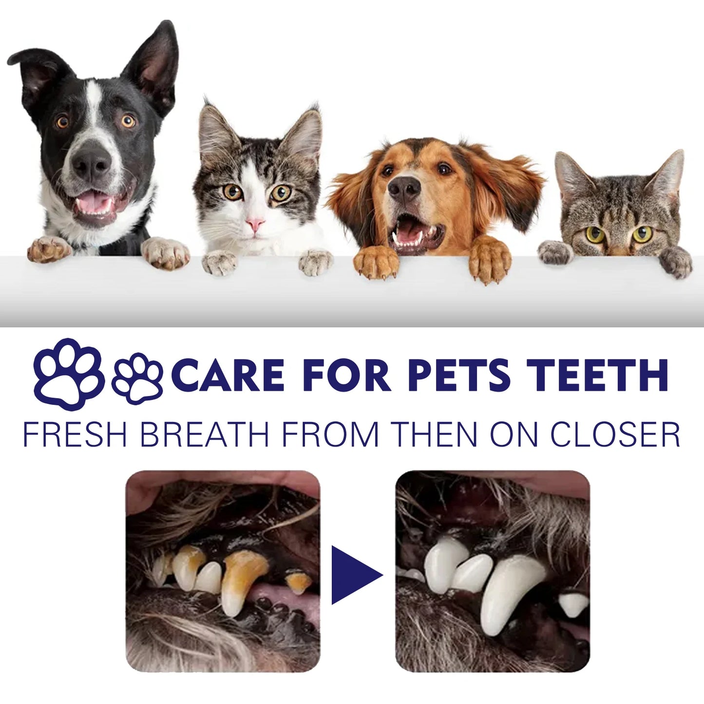 Pets V34 Cleaning Toothpaste Dental Fresh breath