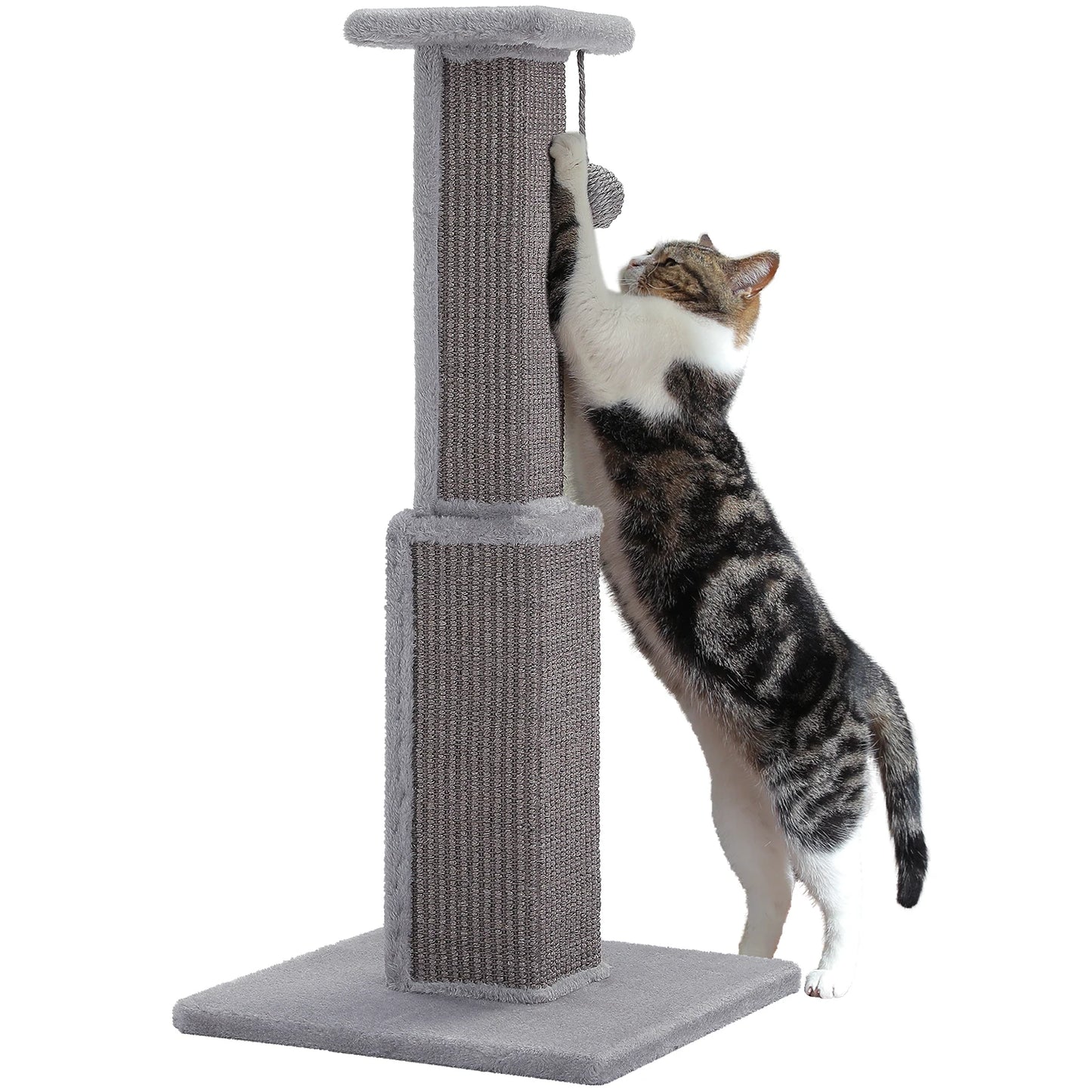 Cat Scratching Post for Indoor Scratcher