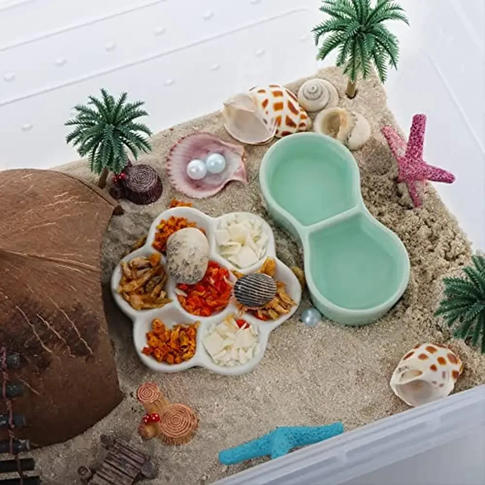 Reptile Feeding Box Plastic Transparent Breeding Habitat