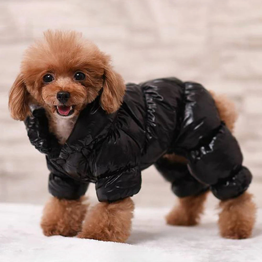 Dog or Cat Winter Faux Leather Waterproof Jumpsuit Hoodie