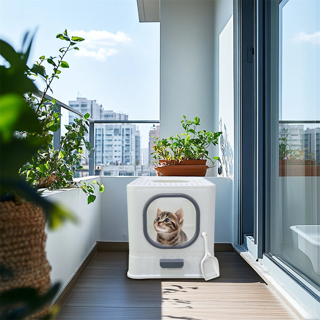 BingoPaw Cat Litter Tray Box: Foldable Top Entry Extra Large Cats Toilet