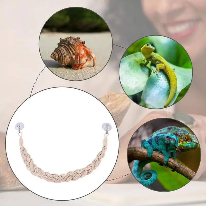 Habitat Decor Reptile Tank Terrarium Accessories