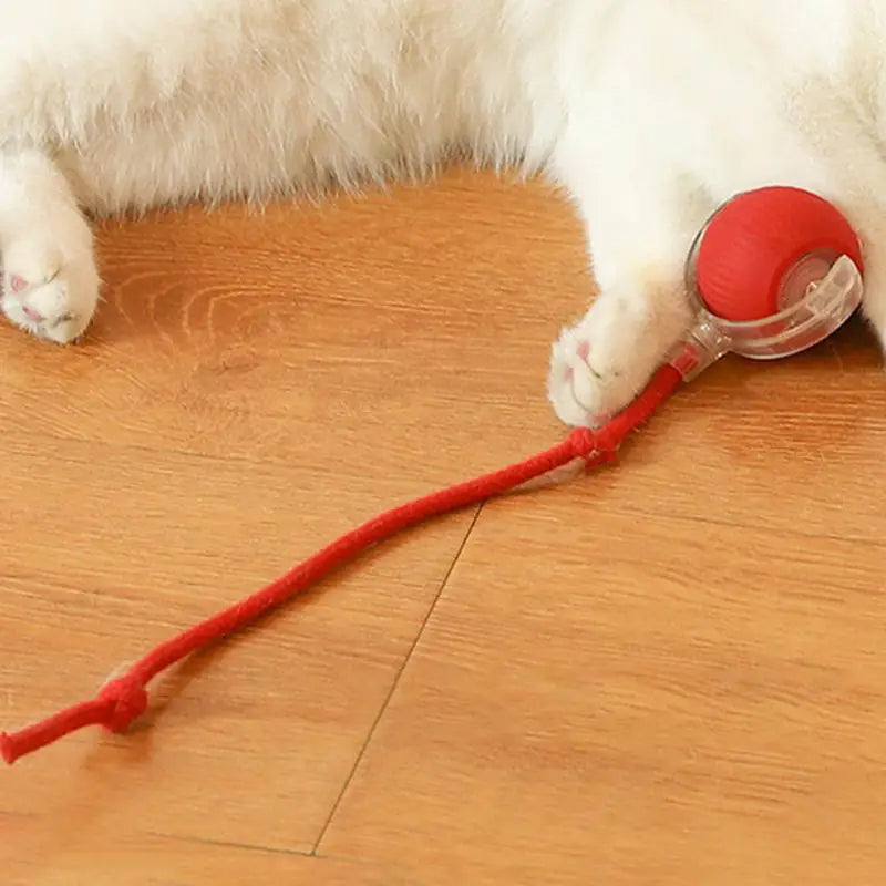 Cat Toys Ball Auto Electric Rolling Ball
