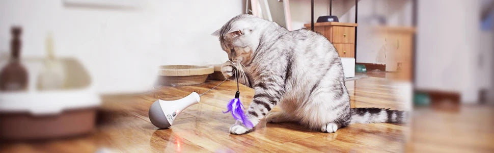 Cat Interactive Toys Feather Teaser Indoor Play