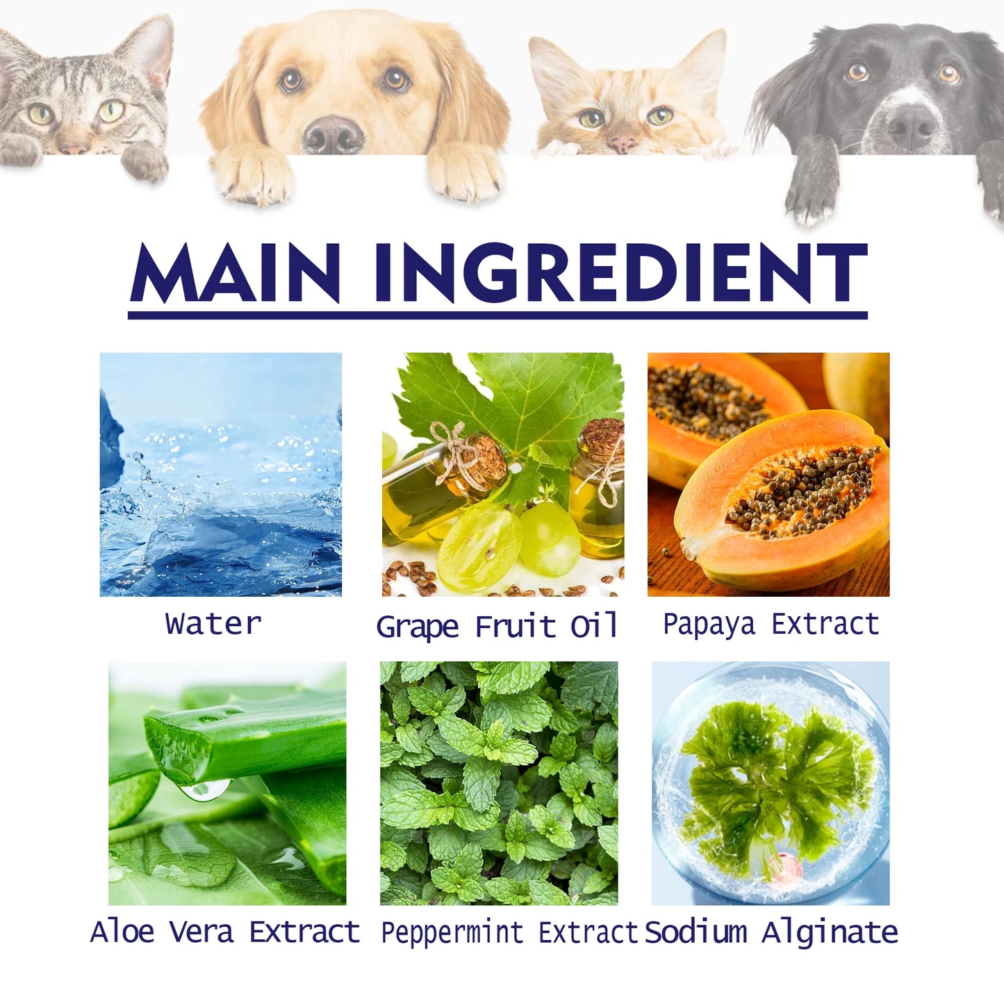 Pets V34 Cleaning Toothpaste Dental Fresh breath