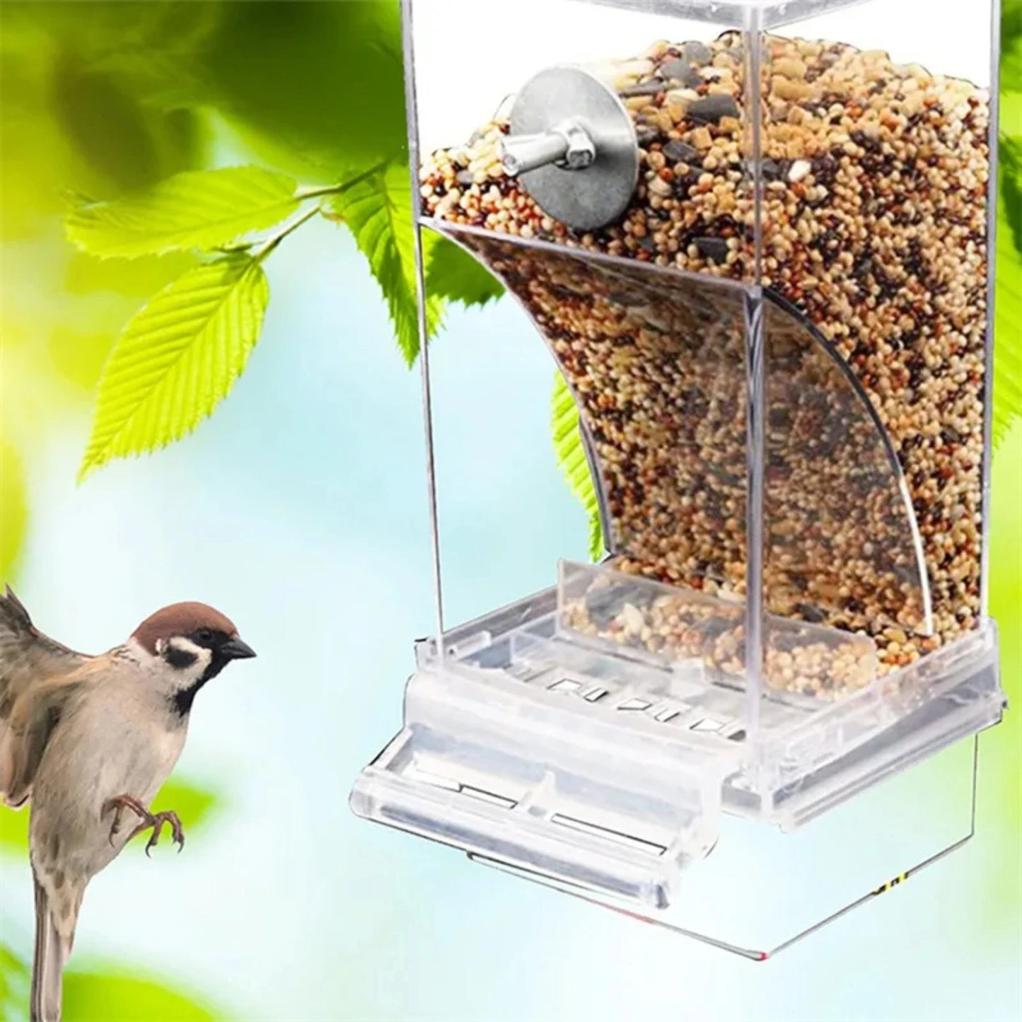 Small and Medium Automatic Acrylic Parakeet Bird Feeders
