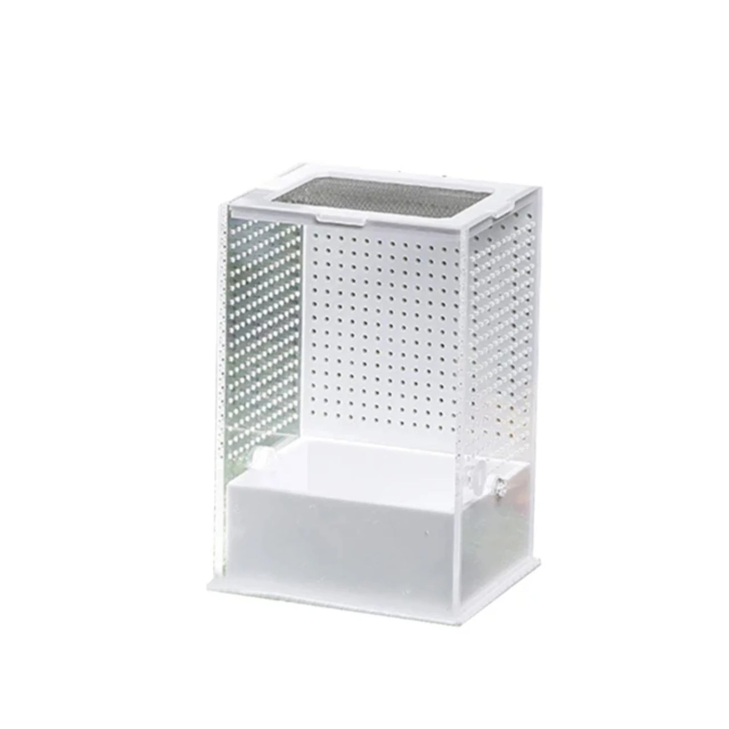 Transparent Feeding Box and Breeding Tanks for Household Use