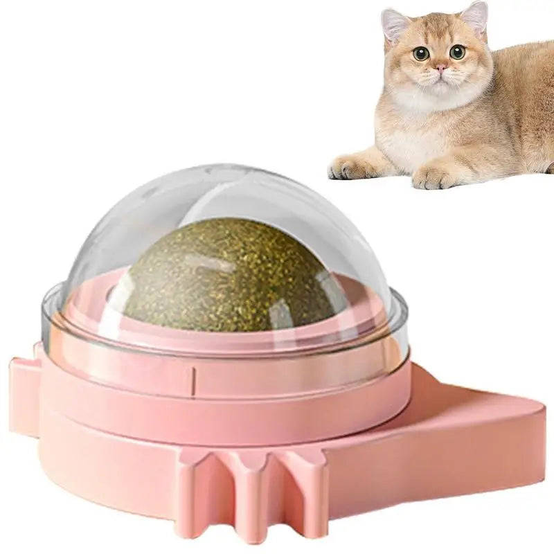 Cat Toy Catnip Ball Rotating Kitten Wall Toys