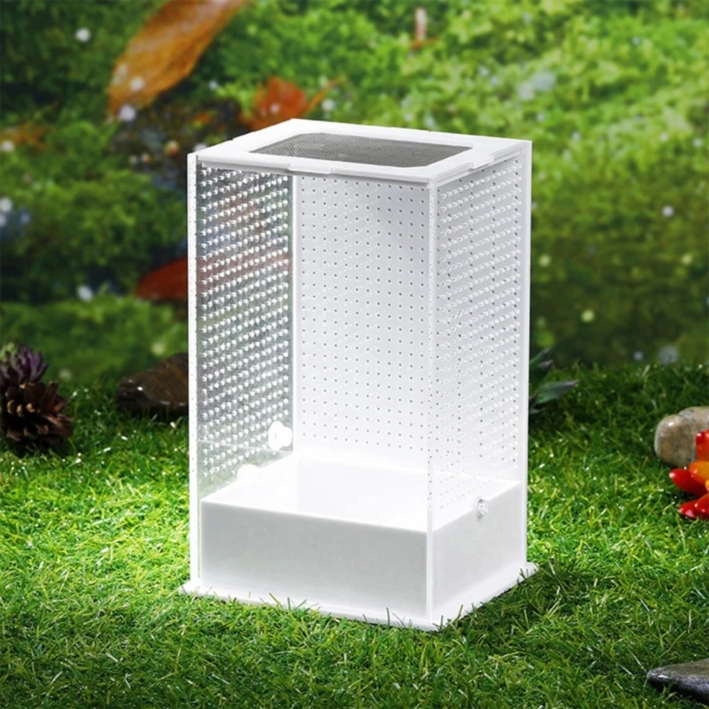 Transparent Feeding Box and Breeding Tanks for Household Use