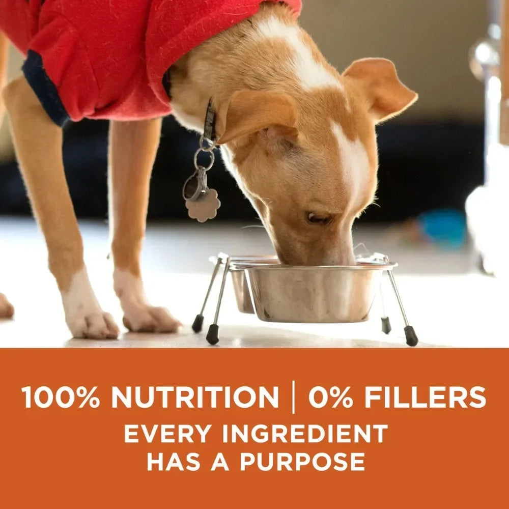 Healthy Weight Dog Food Dry Formula