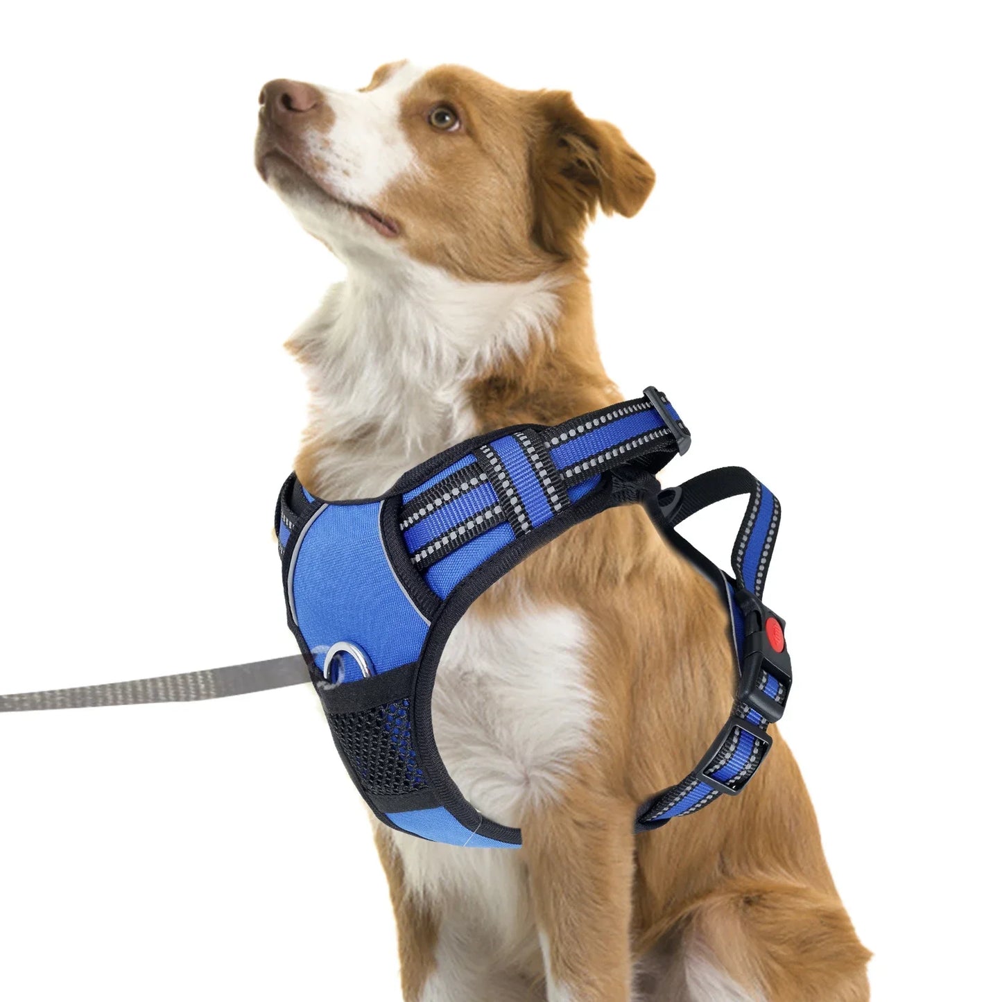 Dog Harness Breathable Mesh No Pulling
