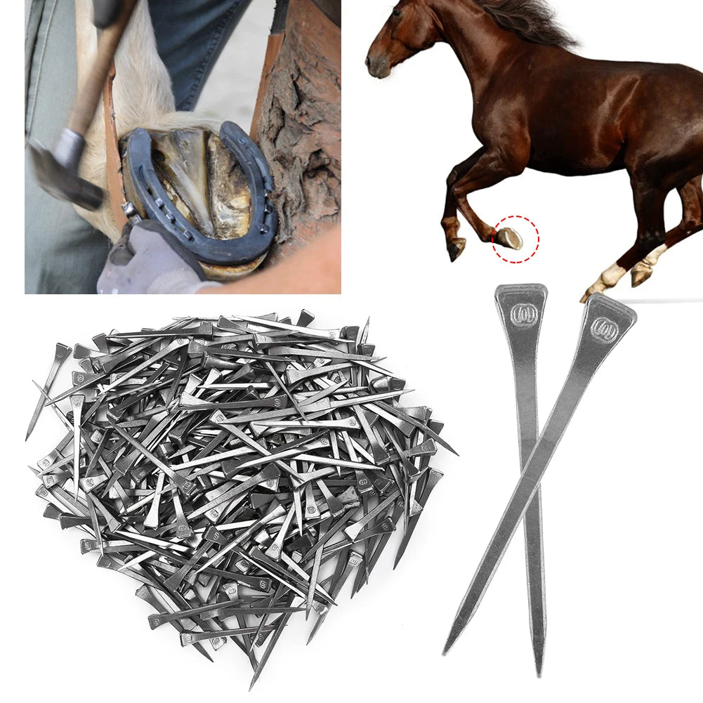 250Pcs Steel Horseshoe Nail E6 High Quality Nail
