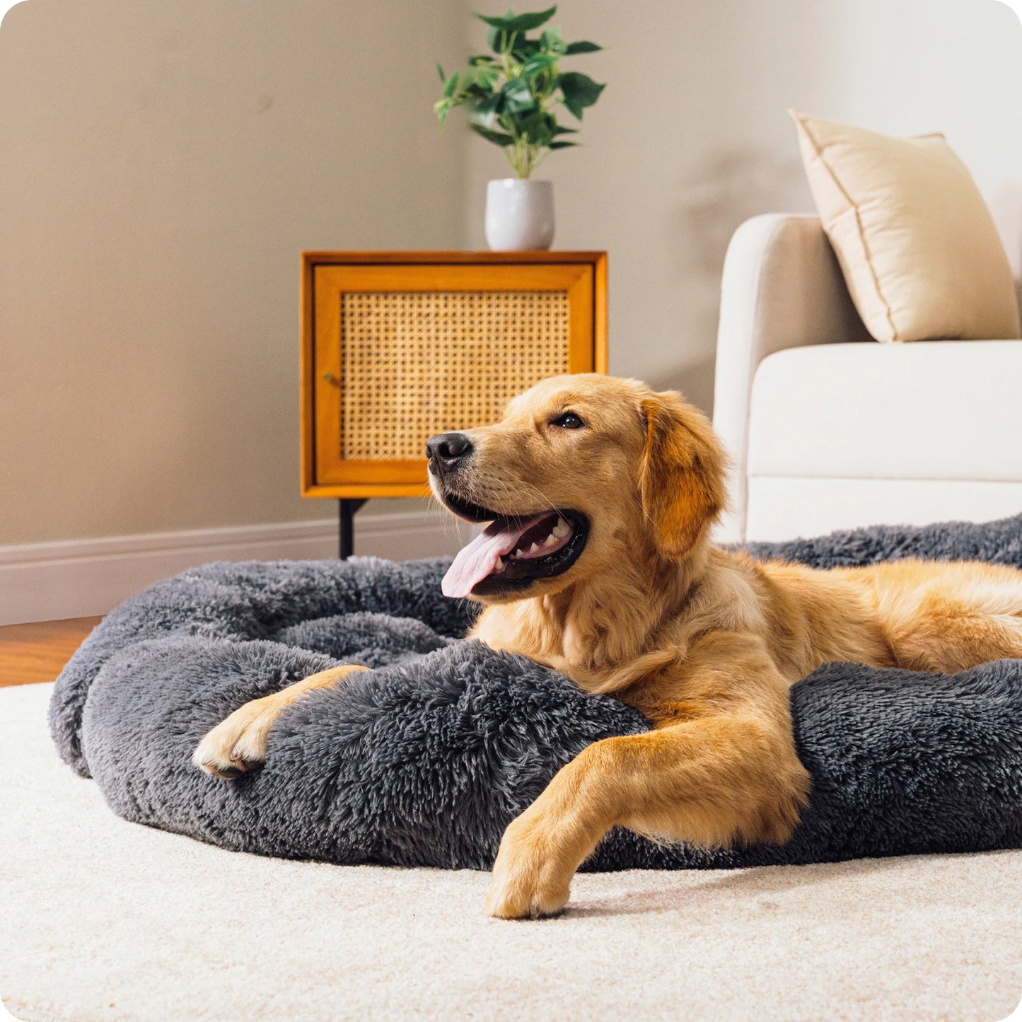 Bed Mat Dog Or Cat Sofa Winter Warm Pet Blanket