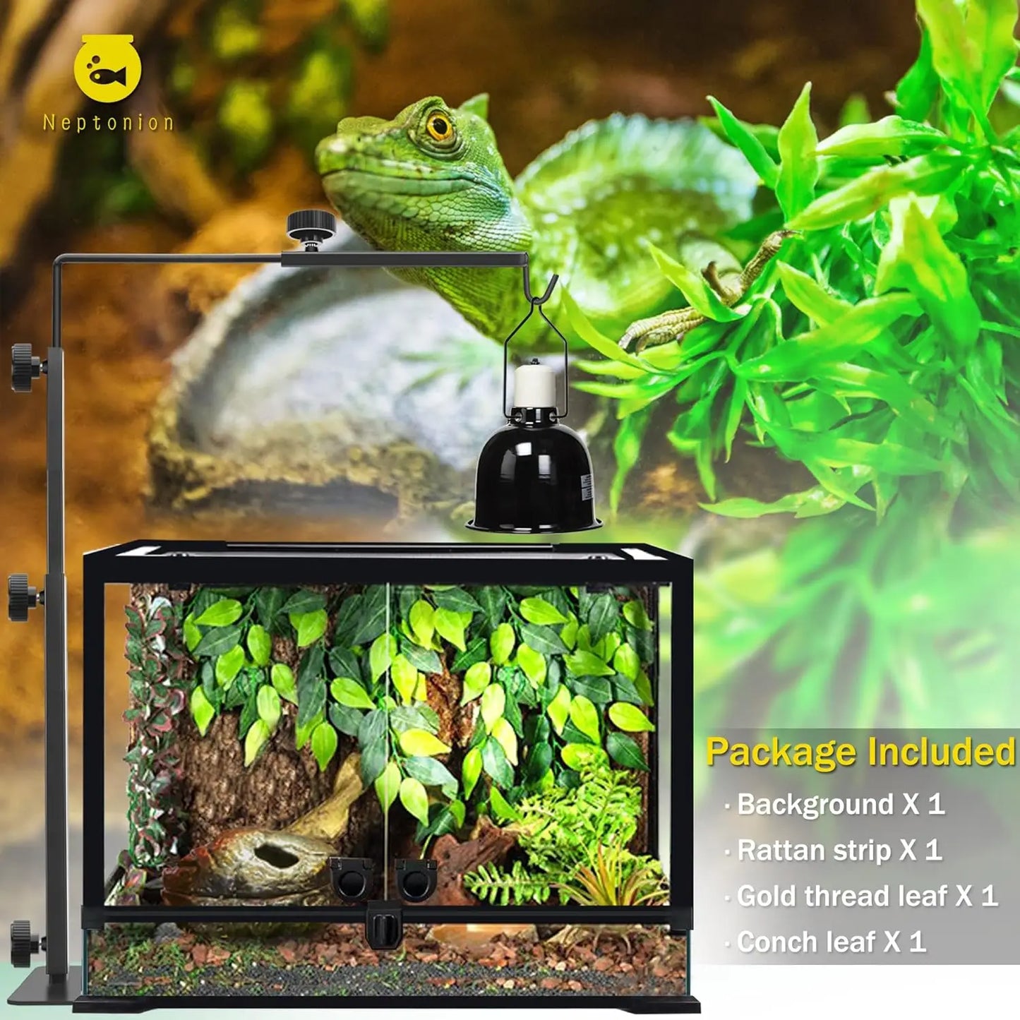 43 Gallon Professional Glass Terrarium 24"x18"x24" Durable Reptile Habitat
