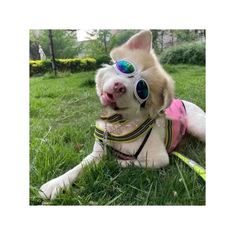 Pet Dog Fold Glasses Prevent UV Pet Glasses Fashion