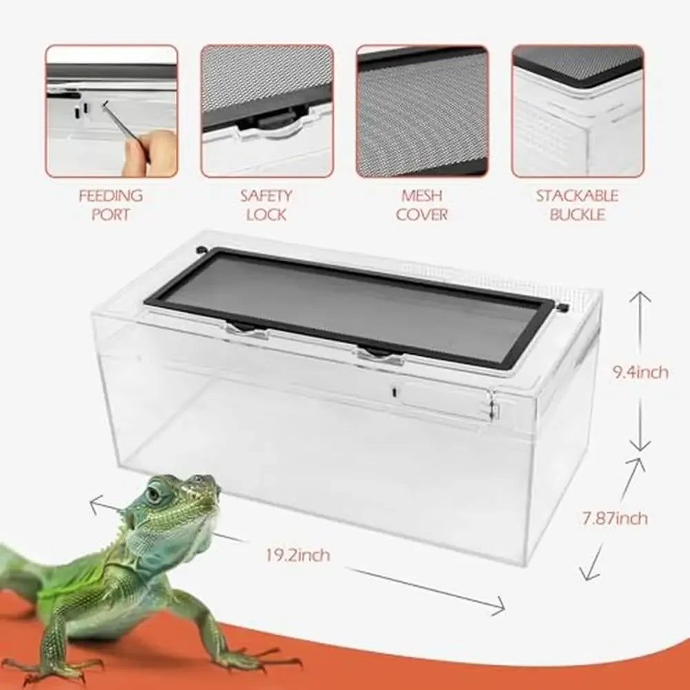 Reptile Terrarium Amphibian Tank Habitat