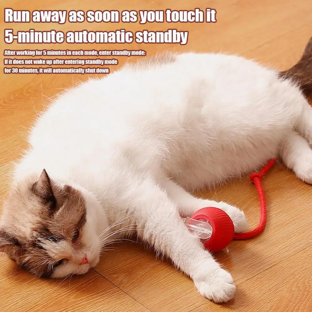 Interactive Cat Rolling Ball Super Drive Toy