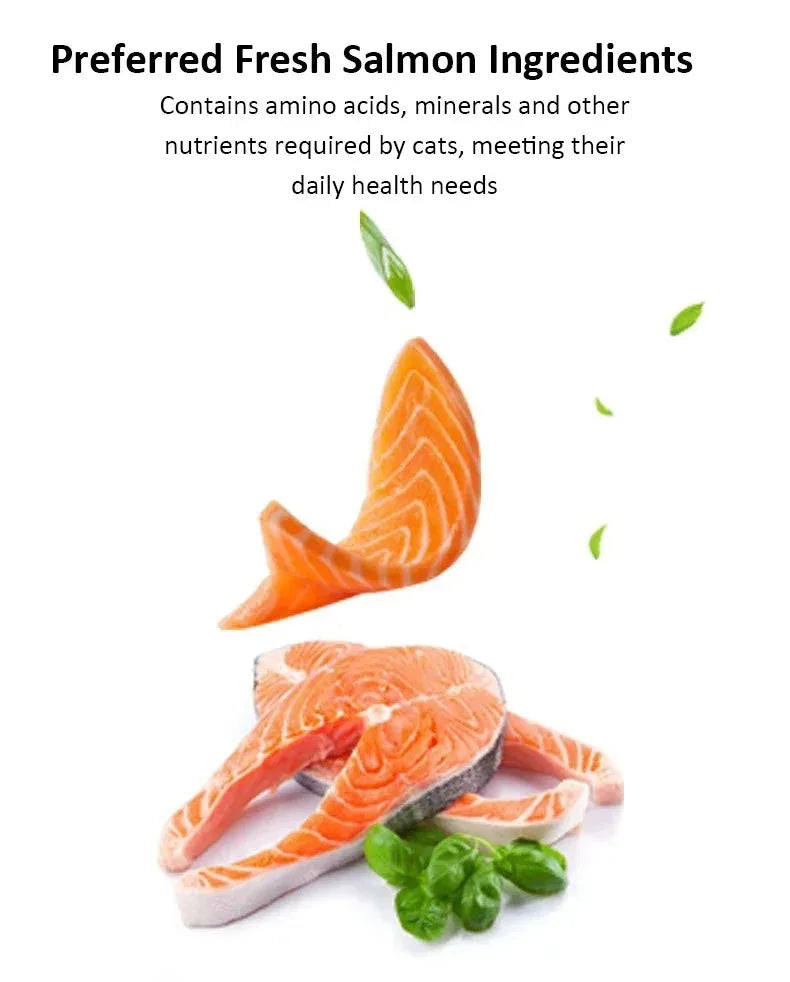 Cat Biscuits Salmon Snacks Multiplicity Nutrition Health