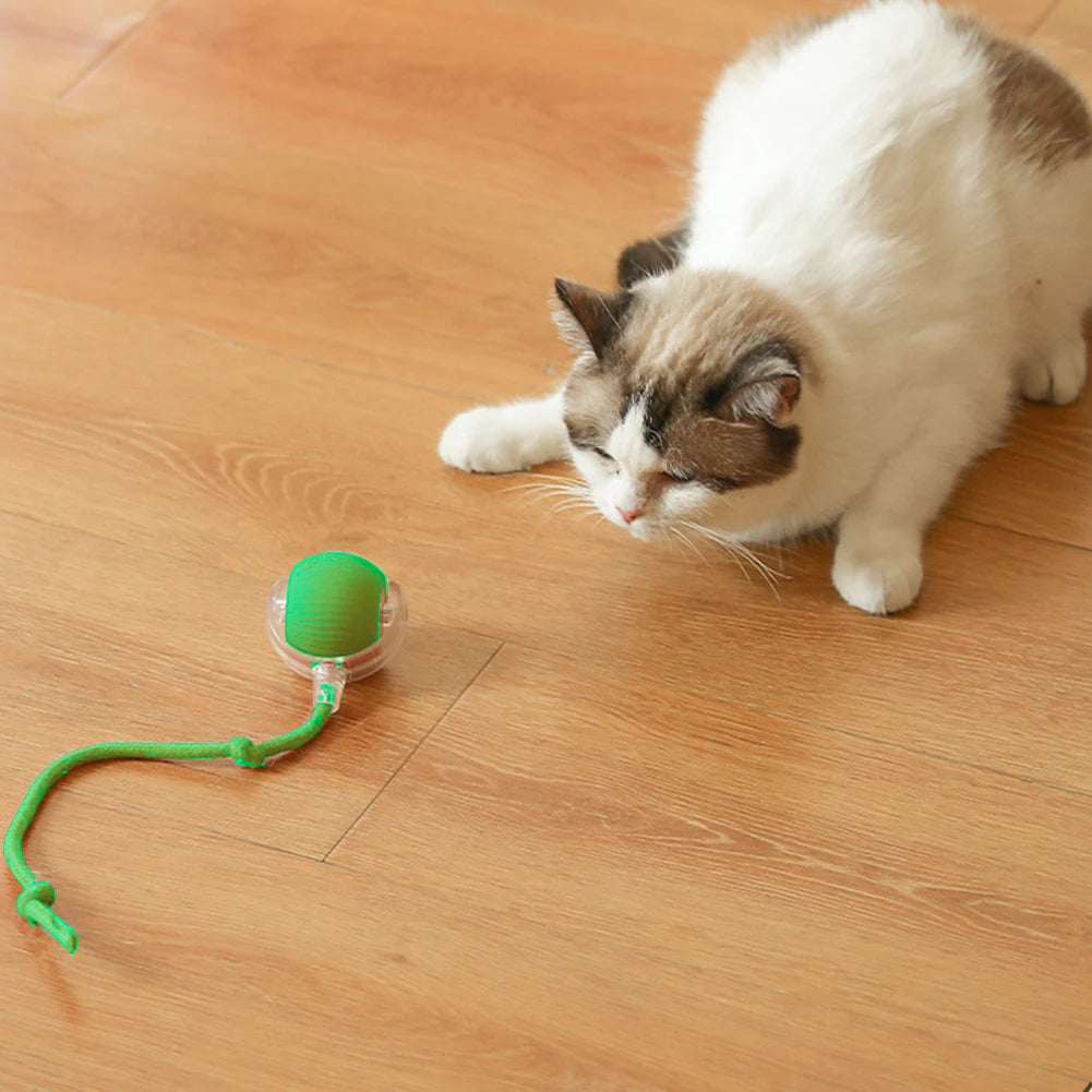 2PC/1PC Cat Interactive Ball Toys Automatic Rolling Ball Rechargeable