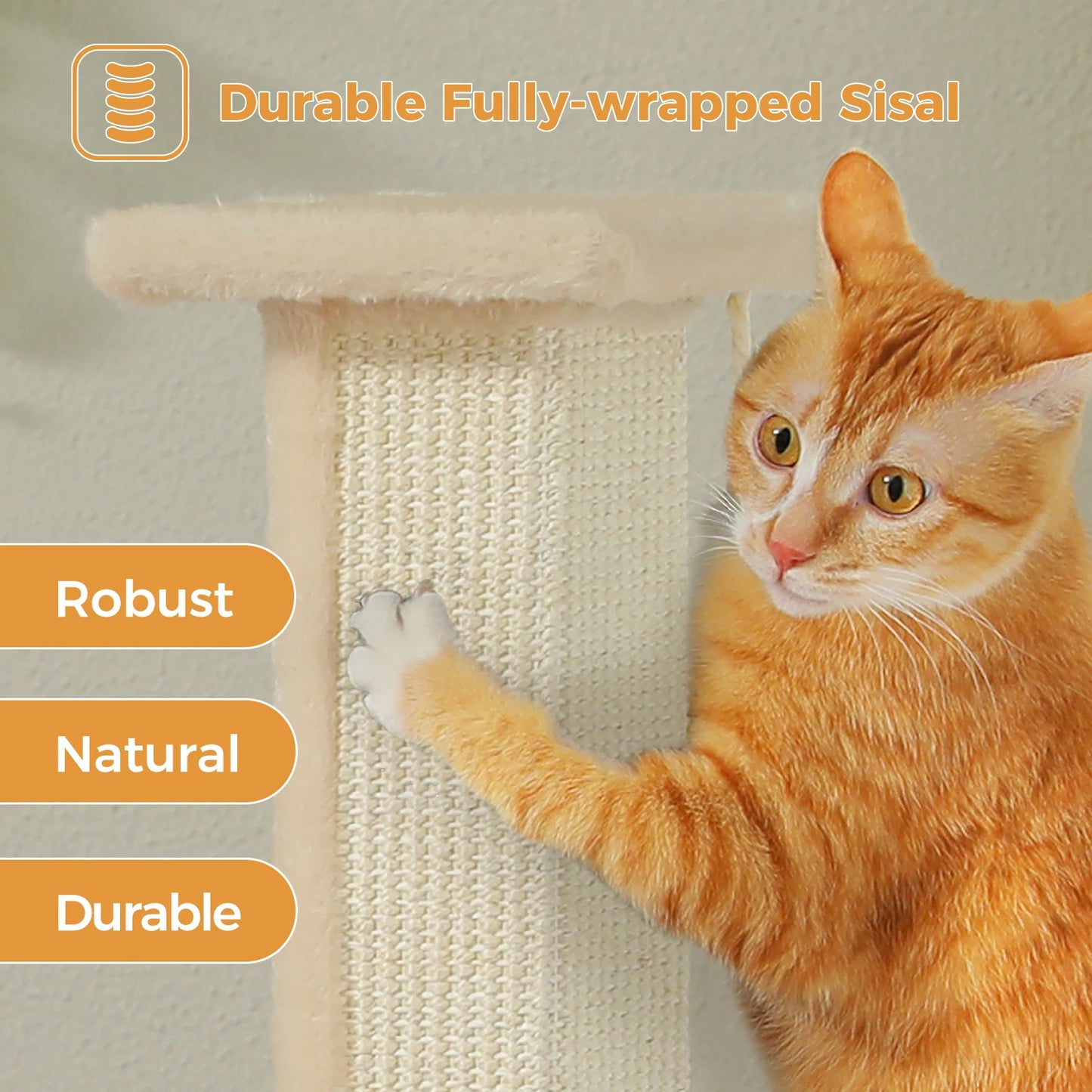 Cat Scratching Post for Indoor Scratcher