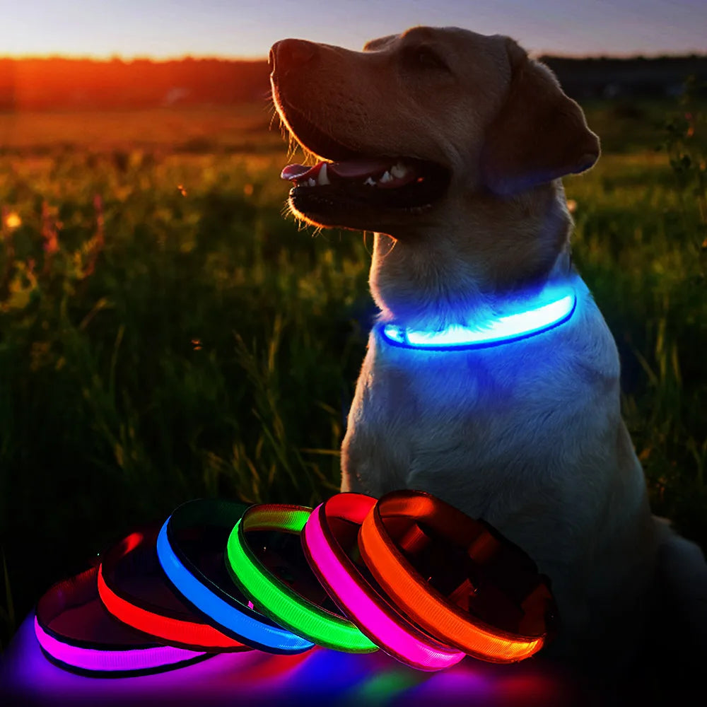 MASBRILL Dog Collar Luminous Pet Collar