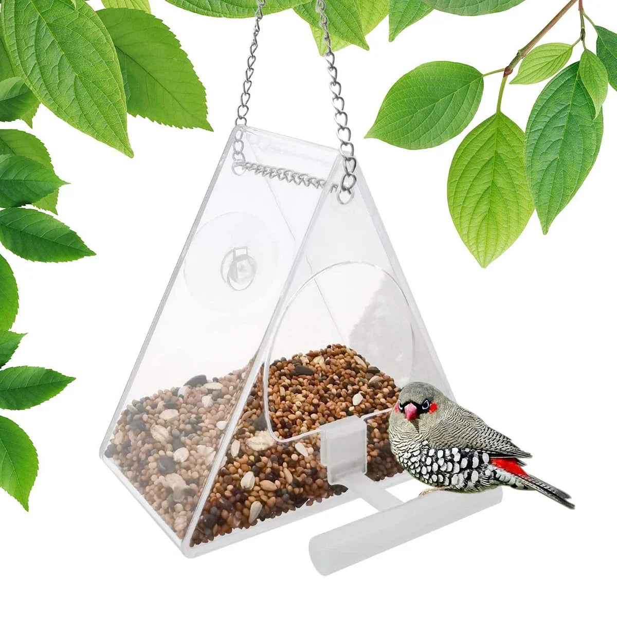 Acrylic Bird Feeder Hanging Seed Feeder Clear