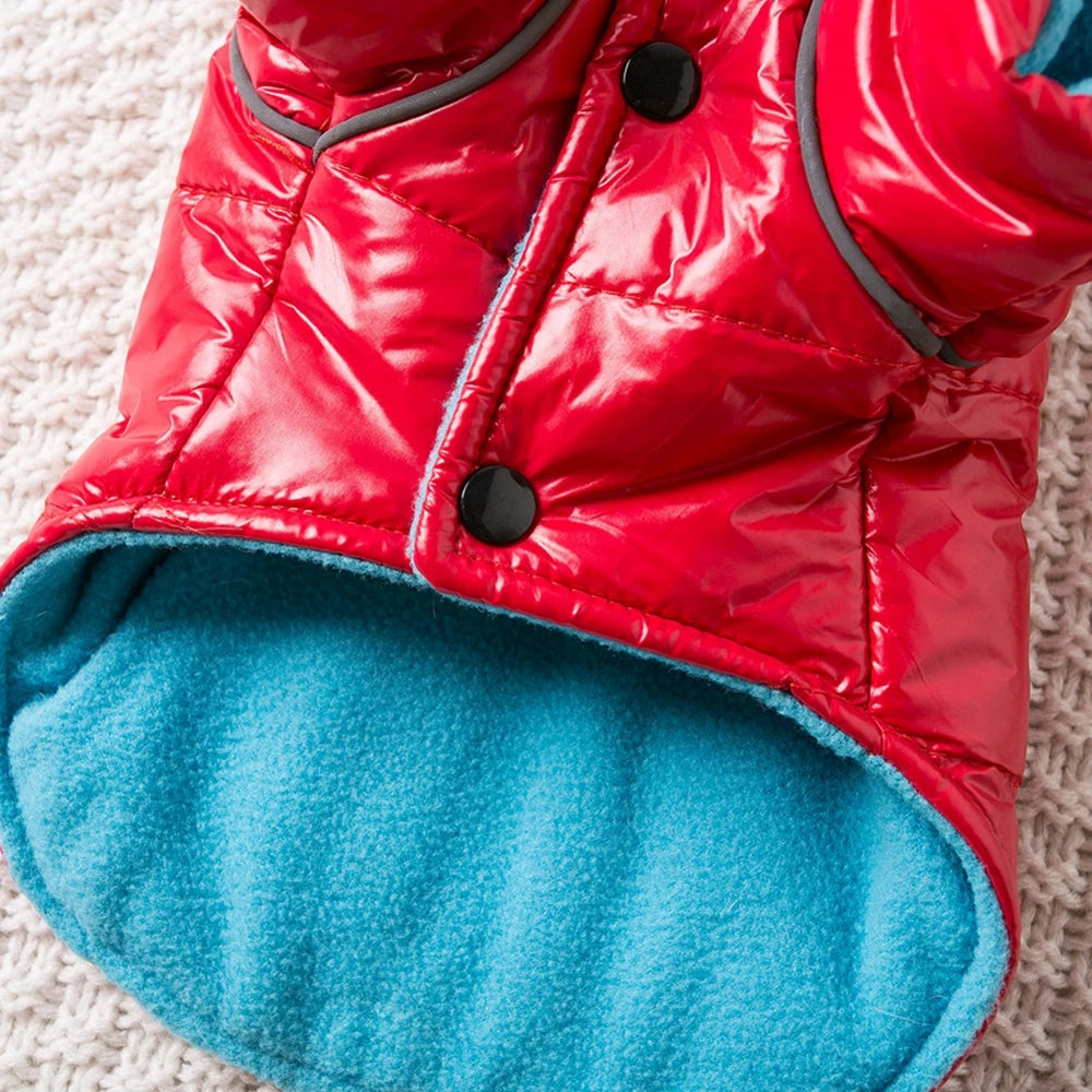 Winter Warm Dog Clothes Bright Color Jacket Waterproof Dog Coat