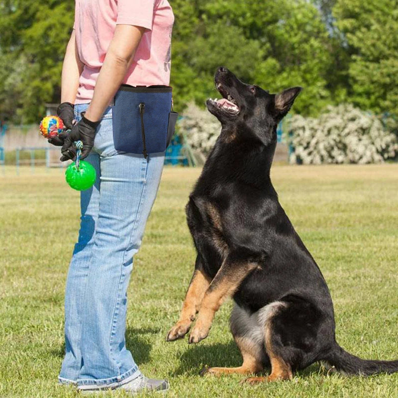 Dog Treat Pouch Portable Outdoor Feeding Training Bags Pet Snack