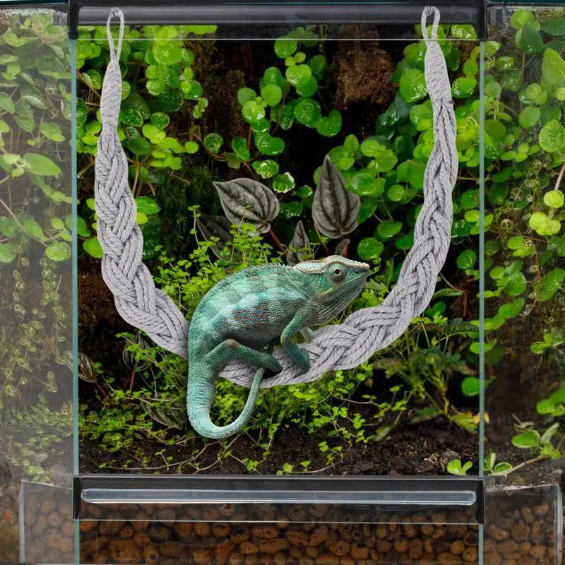 Habitat Decor Reptile Tank Terrarium Accessories