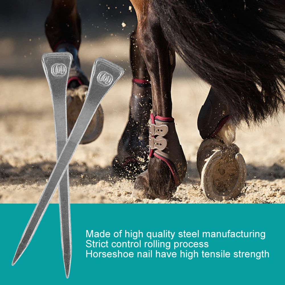 250Pcs Steel Horseshoe Nail E6 High Quality Nail