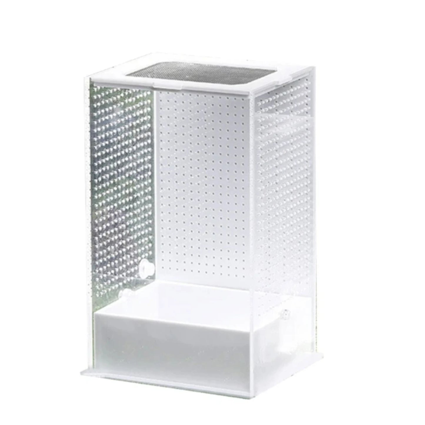 Transparent Feeding Box and Breeding Tanks for Household Use