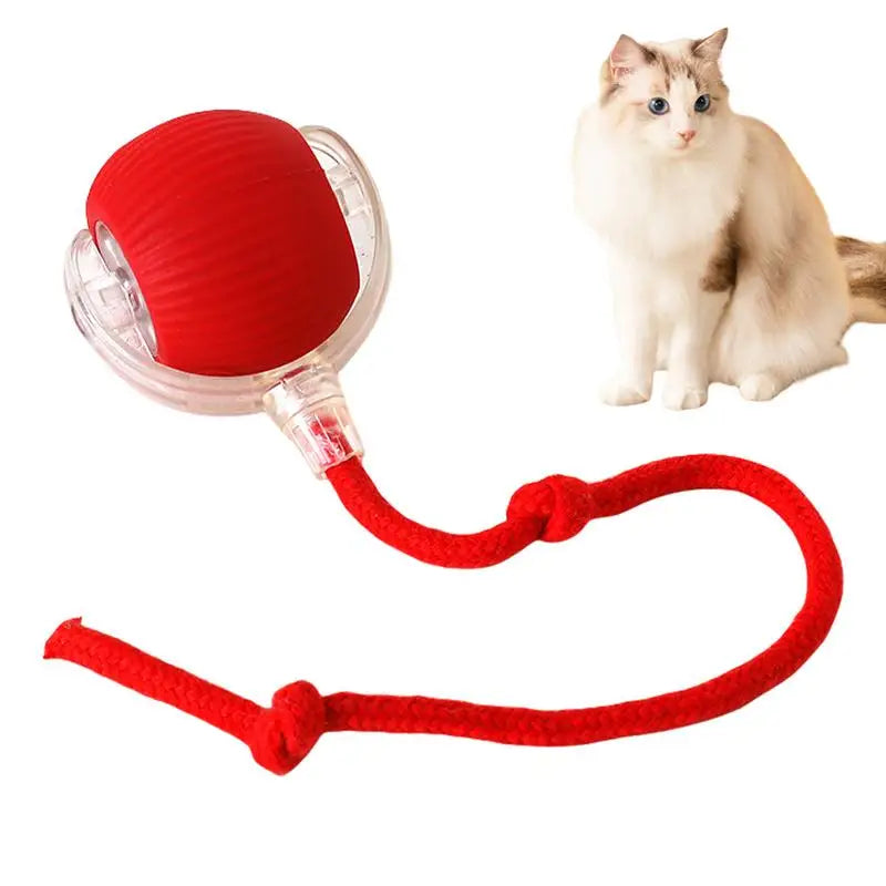 Cat Toys Ball Auto Electric Rolling Ball