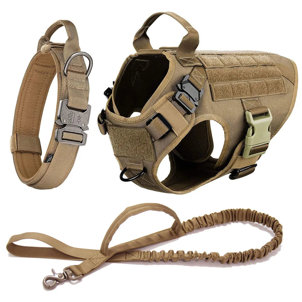 Dog Harness And Leash Set Pet Training Walking Vest
