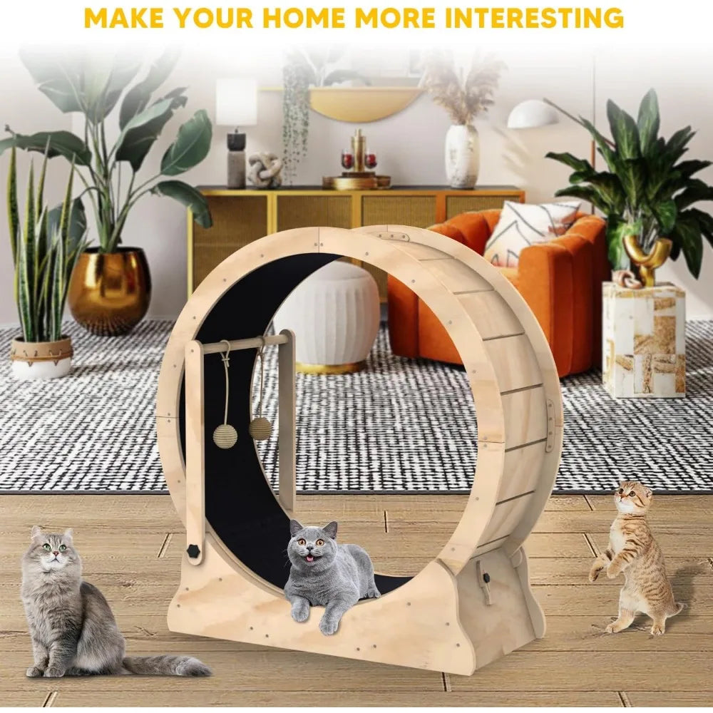 Cat Running Wheel Treadmill With Carpeted Runway