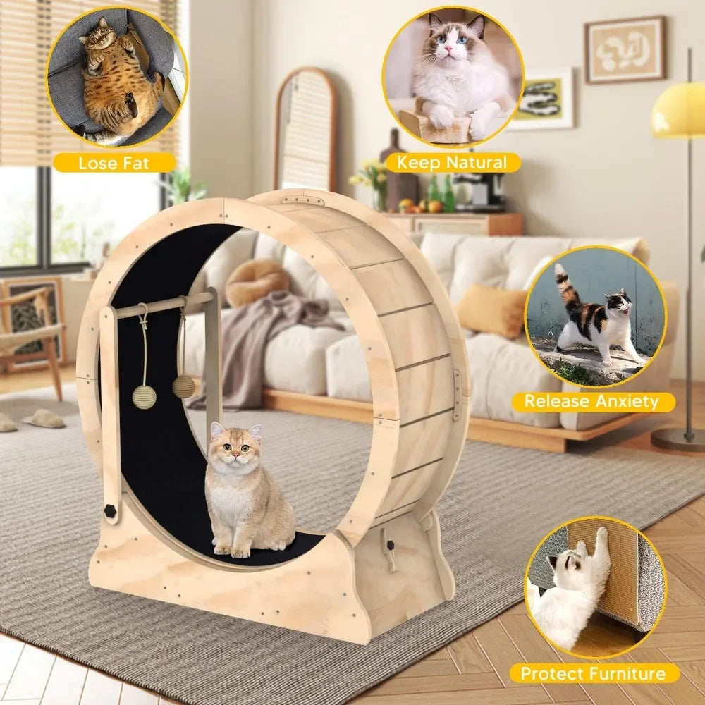 Cat Running Wheel Treadmill With Carpeted Runway