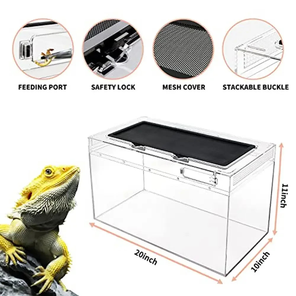 Reptile Tank with Metal Screen Top Insect Fish Tarantula