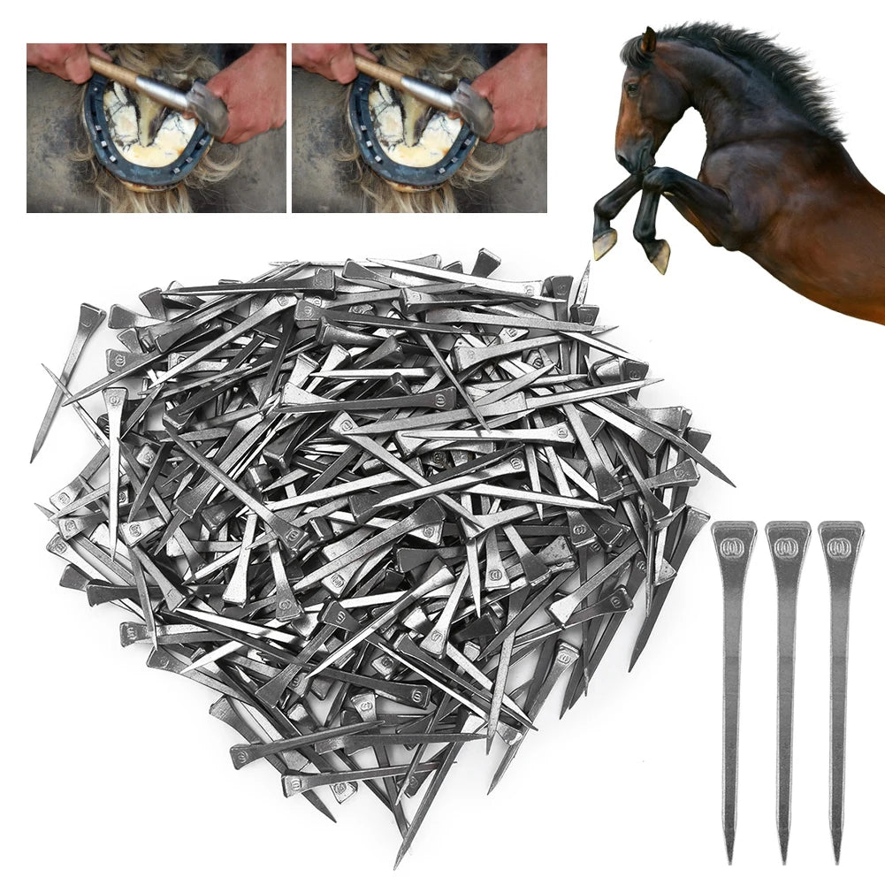 250Pcs Steel Horseshoe Nail E6 High Quality Nail