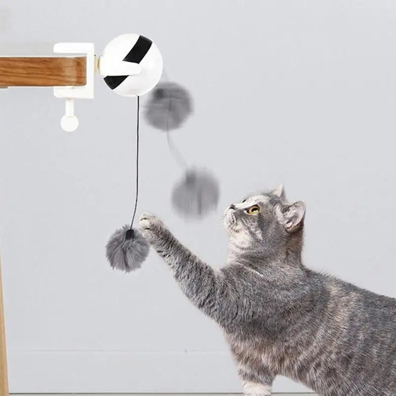 Automatic Lifting Cat Toy Ball Smart Electric Training Toys