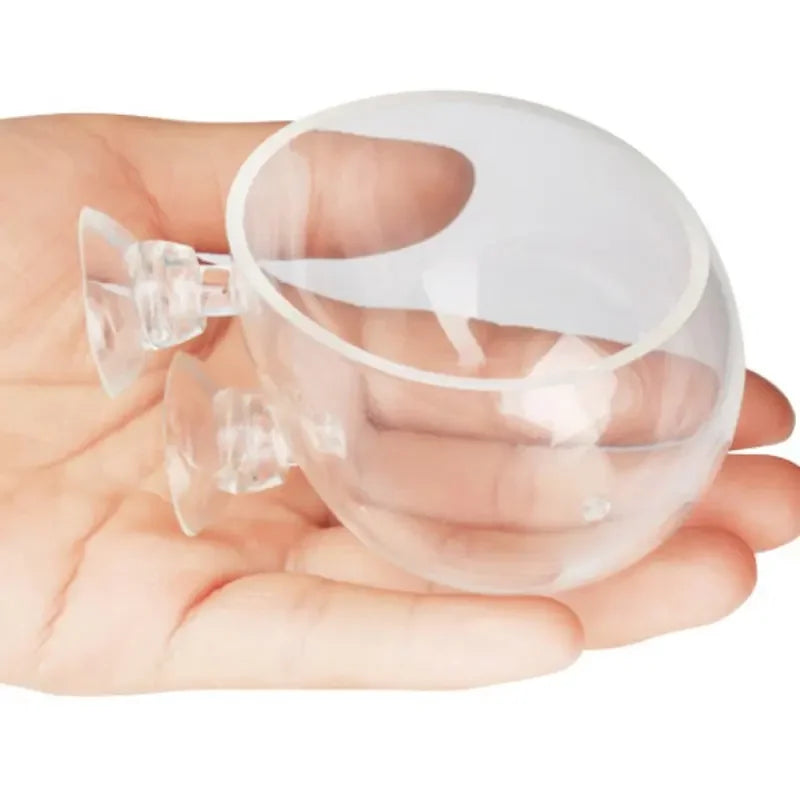 Aquarium Plant Holder Crystal Glass Suction Cups for Fish Tank