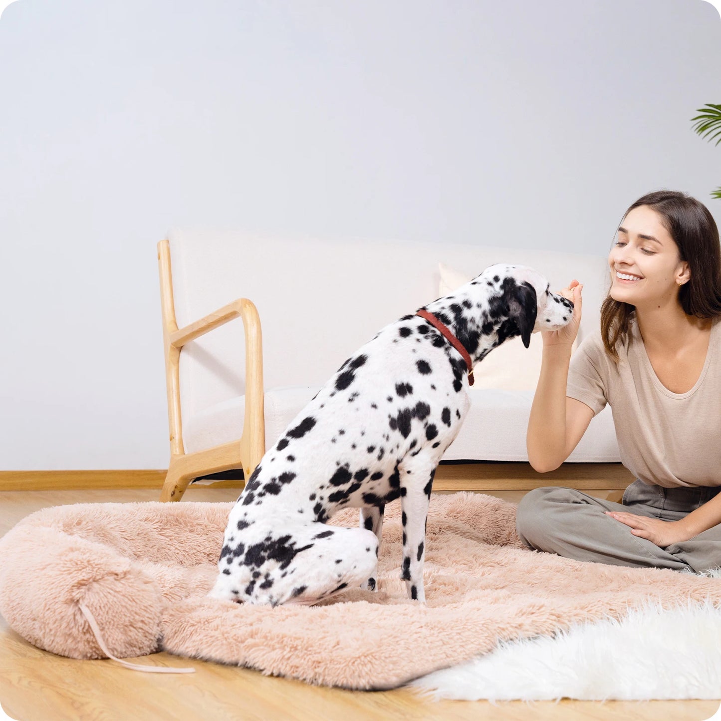 Bed Mat Dog Or Cat Sofa Winter Warm Pet Blanket