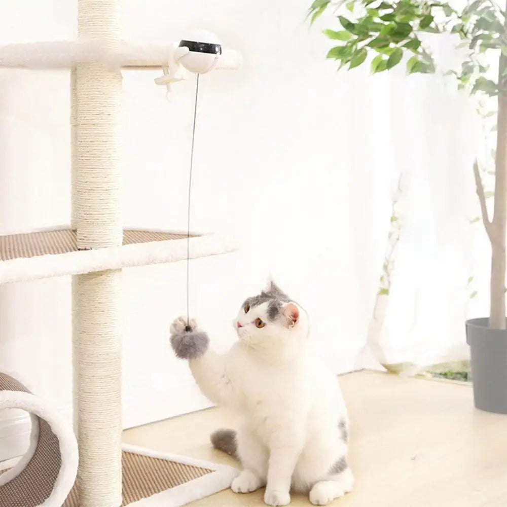 Automatic Lifting Cat Toy Ball Smart Electric Training Toys