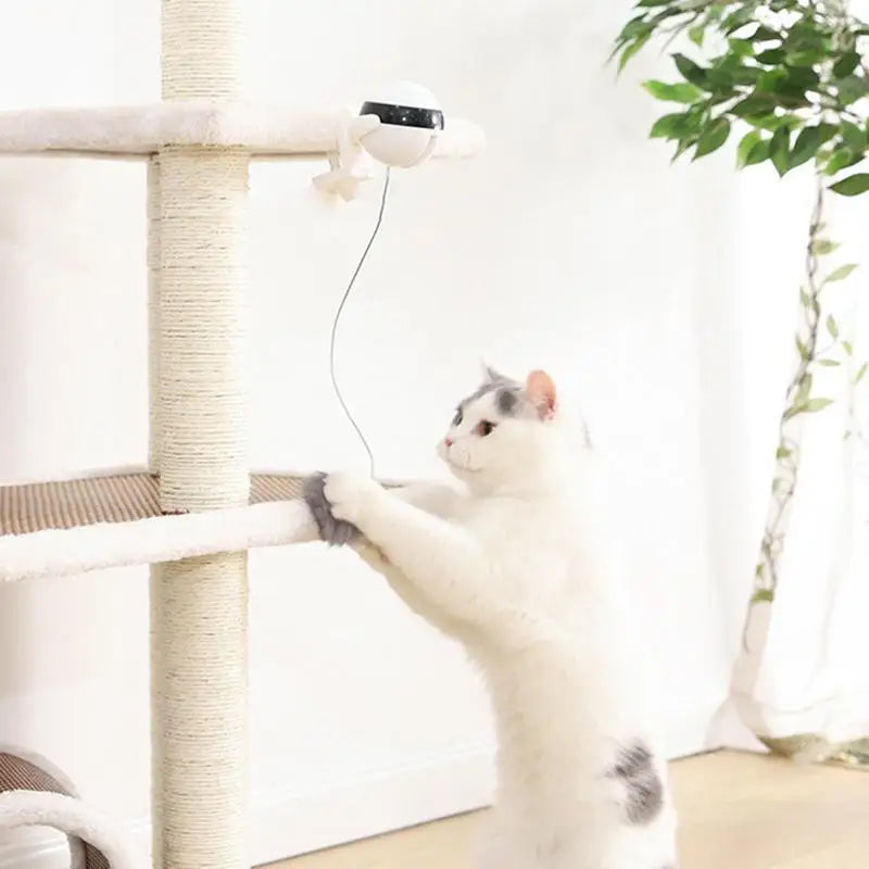 Automatic Lifting Cat Toy Ball Smart Electric Training Toys