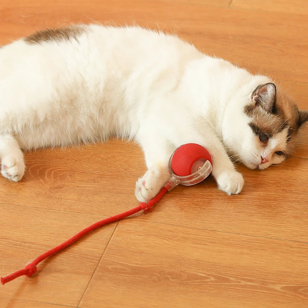 Smart Pet Toys Ball Automatic Rolling Interactive Training Self-moving