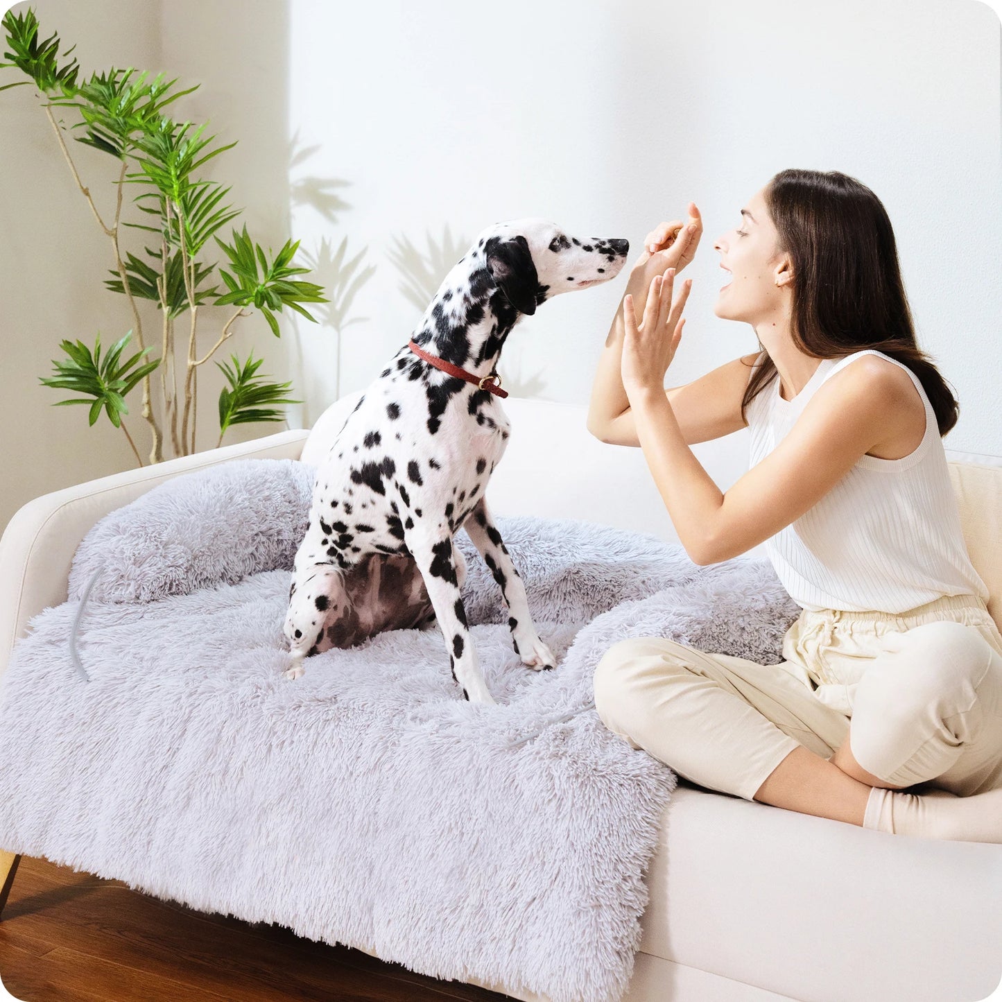 Bed Mat Dog Or Cat Sofa Winter Warm Pet Blanket