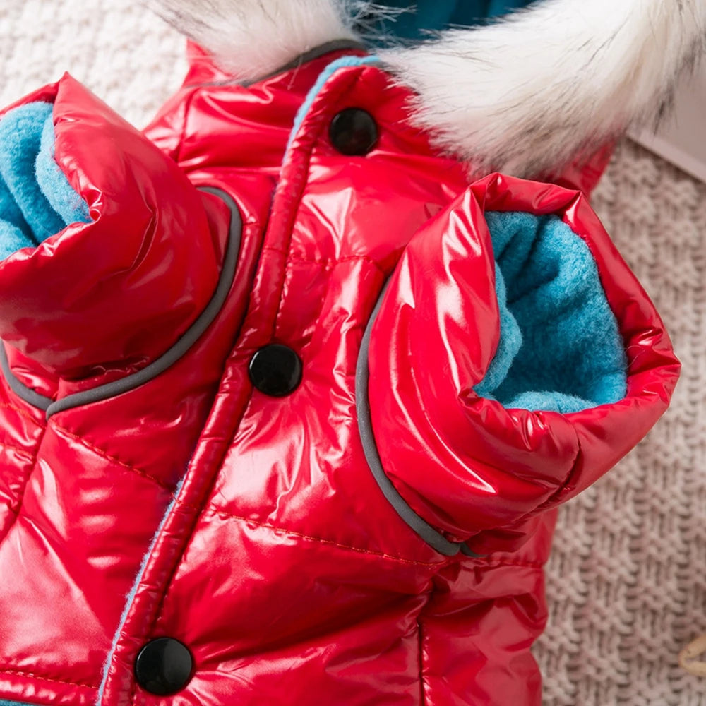 Winter Warm Dog Clothes Bright Color Jacket Waterproof Dog Coat