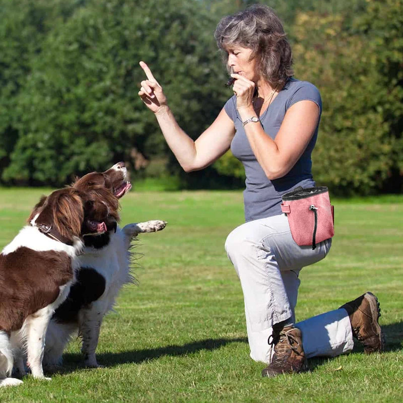 Dog Treat Pouch Portable Outdoor Feeding Training Bags Pet Snack